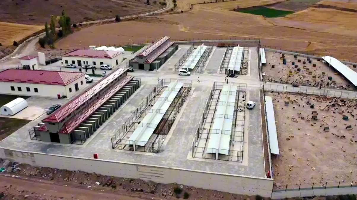 tokatta hayvan rehabilitasyon merkezi acildi 4hQStAEH.jpg