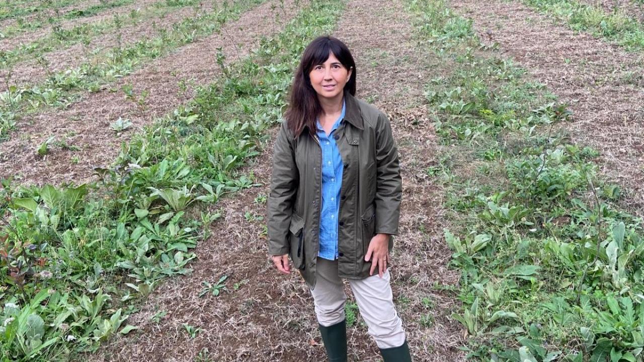 kariyerini birakti topraga dondu seda cem kadin ciftcilere ilham oluyor vJqwiz13.jpeg