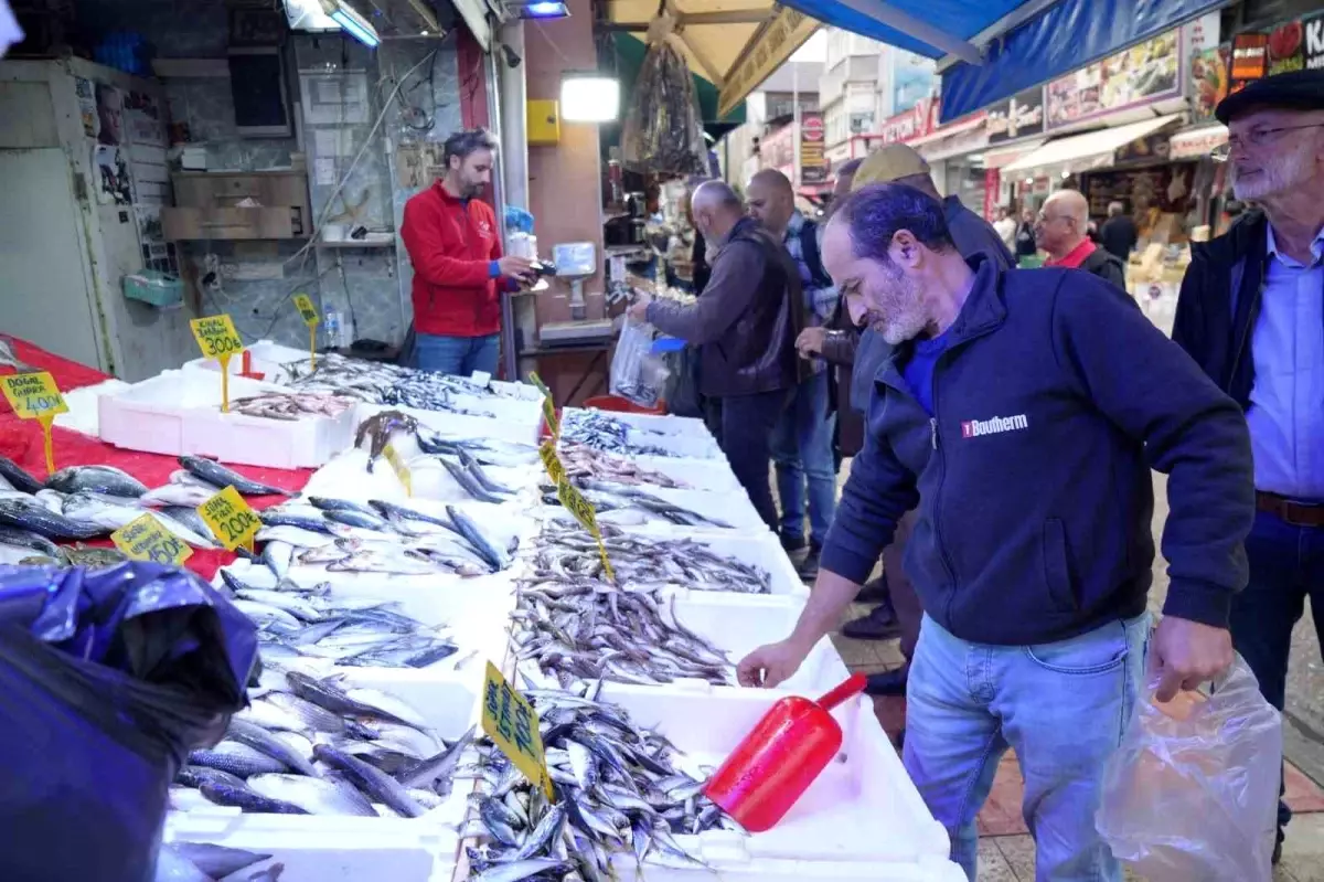 samsunda hamsi fiyatlari duserken balikcilarin ilgisi azaliyor znHn8HfQ.jpg