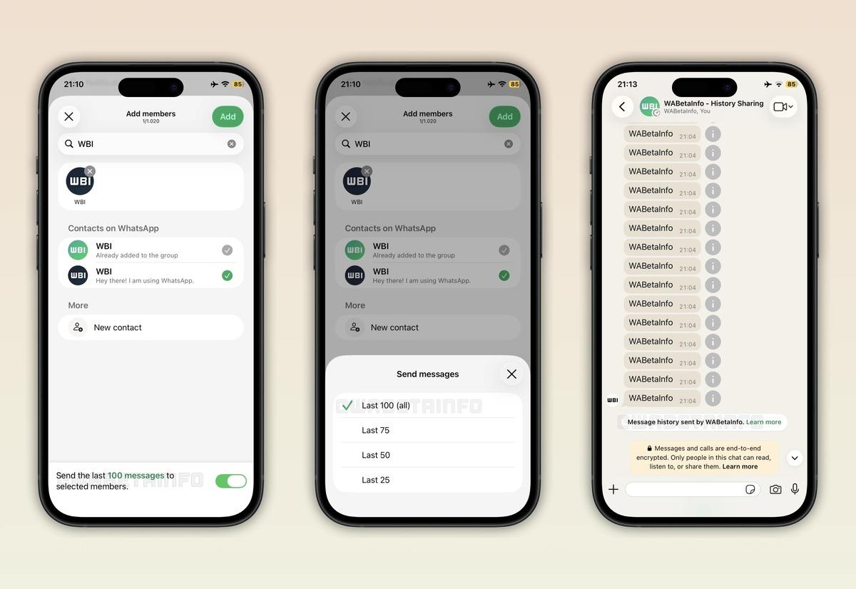 WhatsApp Grup Sohbet Geçmişi Paylaşma Özelliği